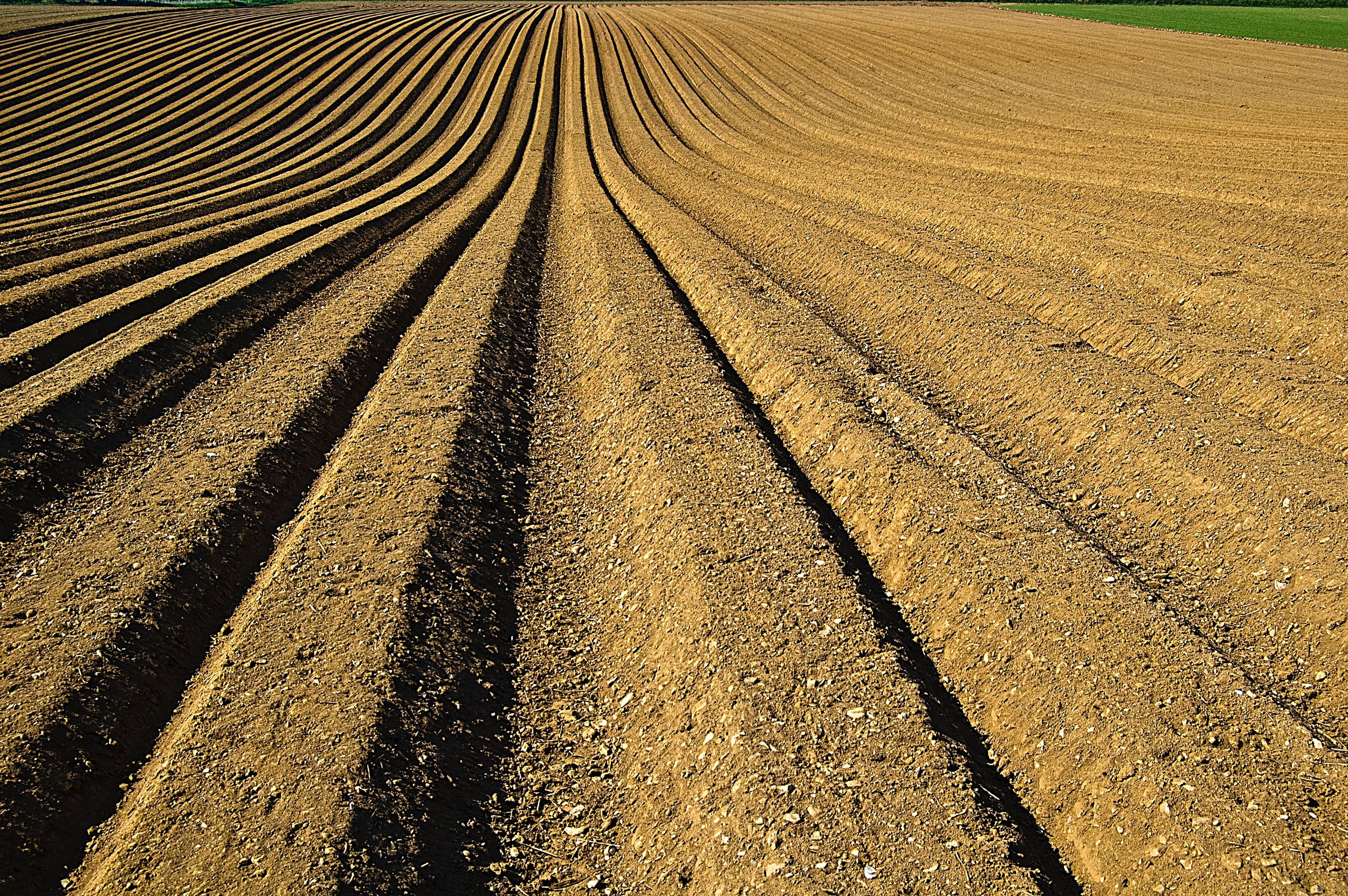 Conventional-Tillage.jpg