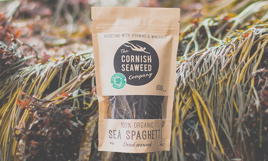 Cornish-Sea-Spaghetti