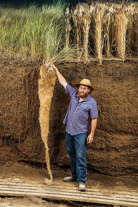 Kernza farmer displaying its long roots next to conventional wheat | Image courtesy of Jim Richardson