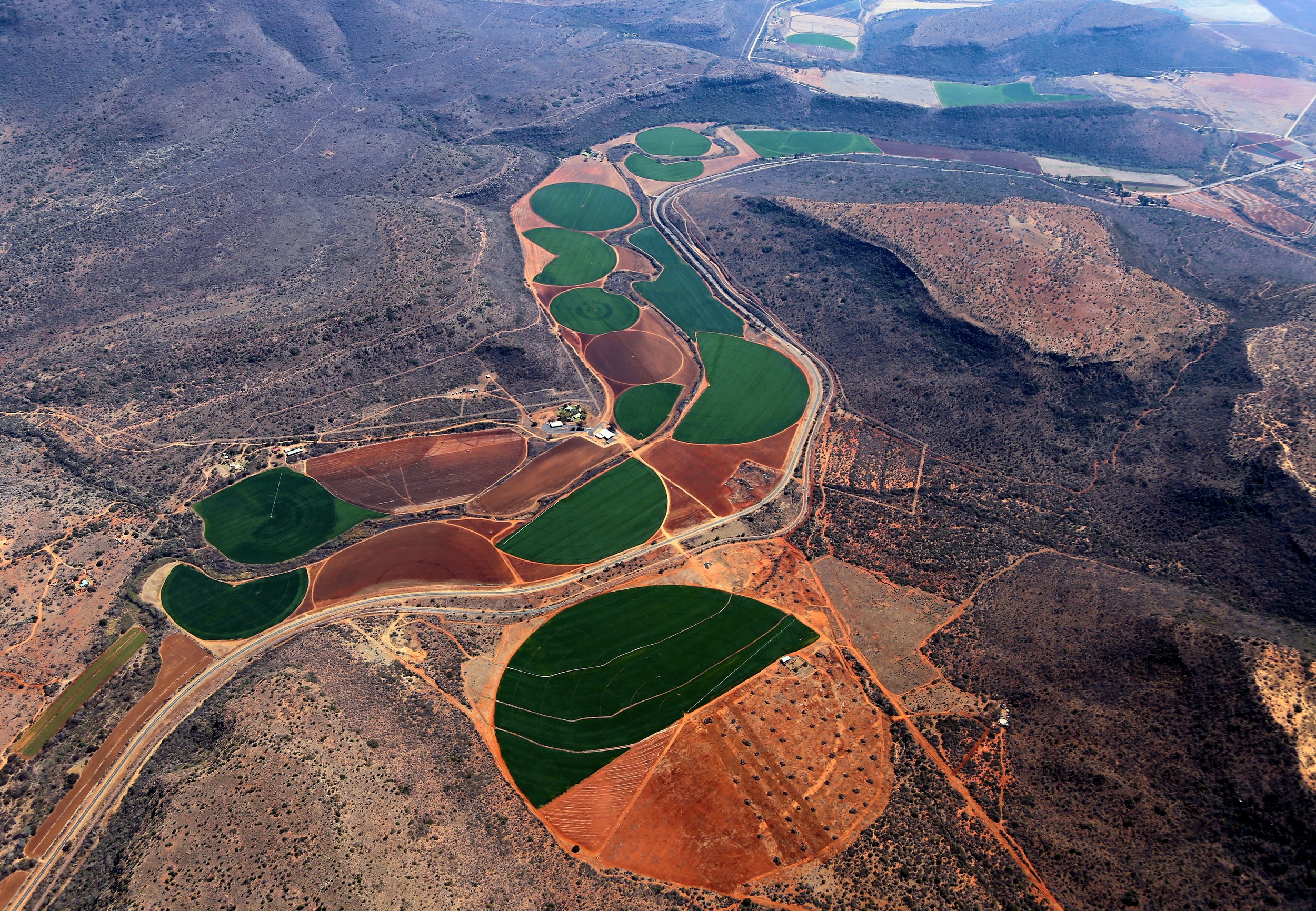 Agriculture in a dry deciduous region of South Africa.